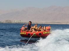 לעוף על המים